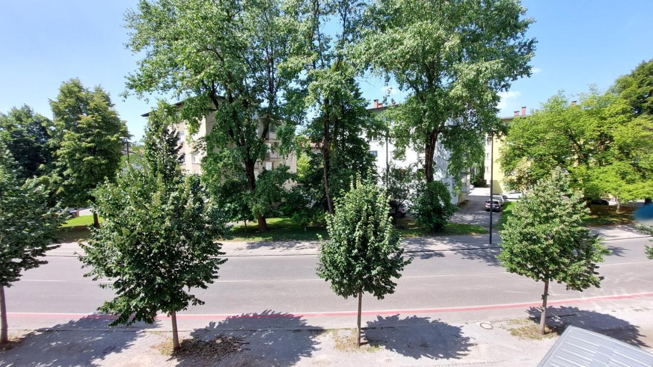 Cozy, Bright And Affordable Studio W/ Free Parking Lubiana Esterno foto